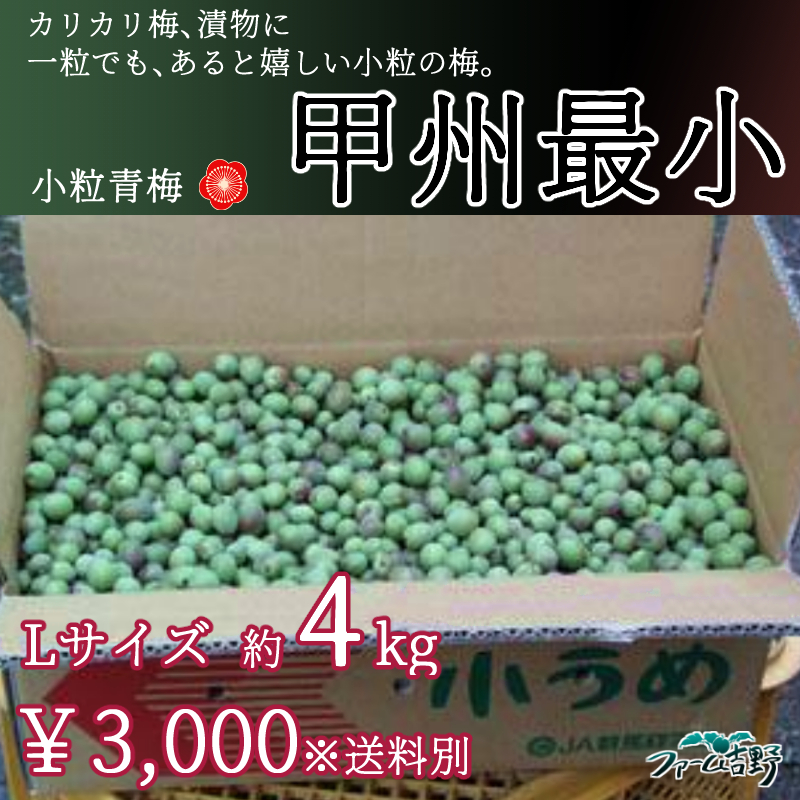 甲州最小【小粒梅】 4kg L 青梅