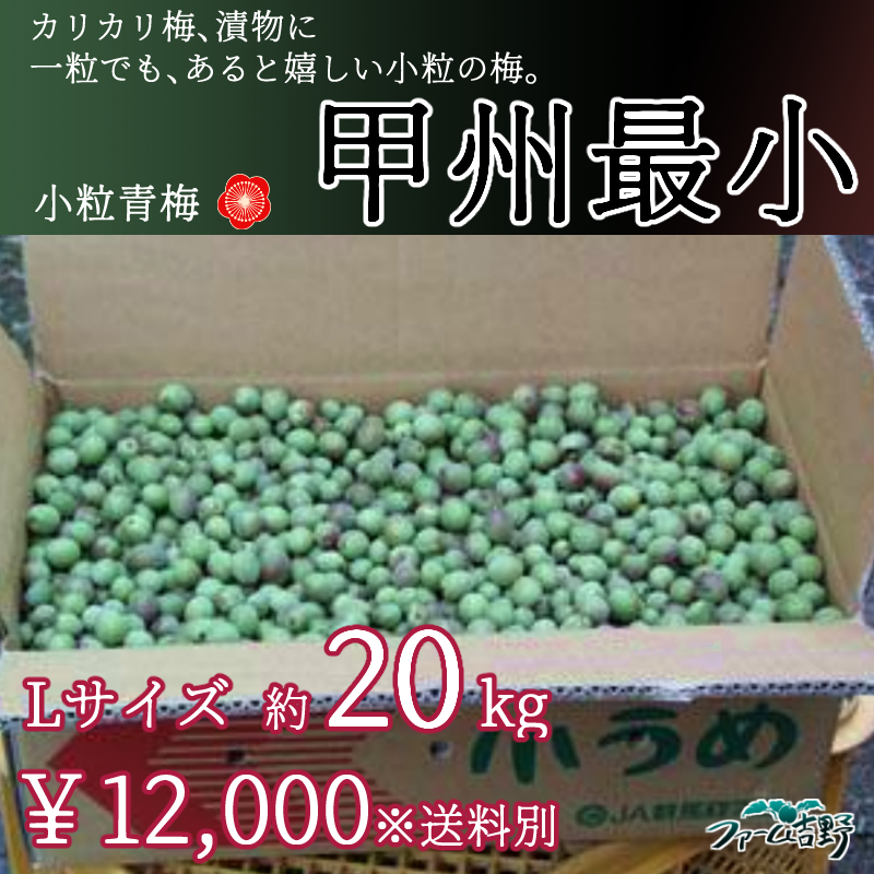 甲州最小【小粒梅】 20kg L 青梅