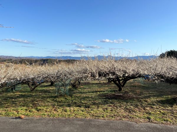 2026-02-28 16.00.44.jpg